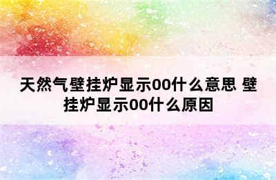 天然气壁挂炉显示00什么意思 壁挂炉显示00什么原因